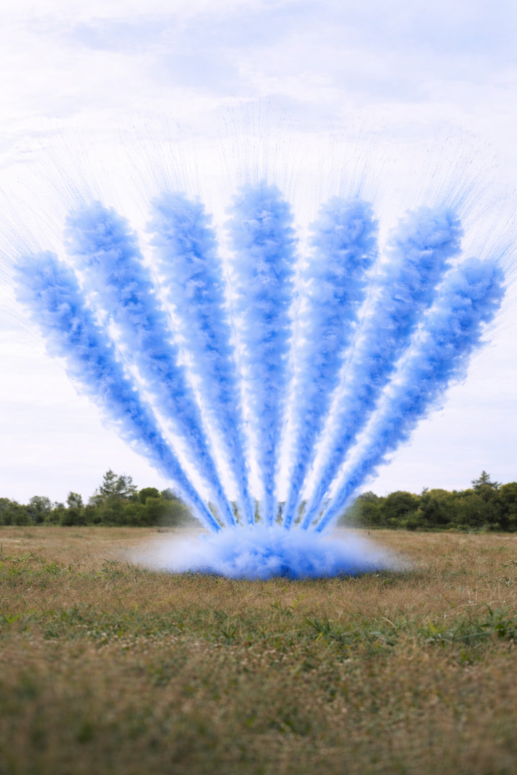 Pack Premium Baby Shower